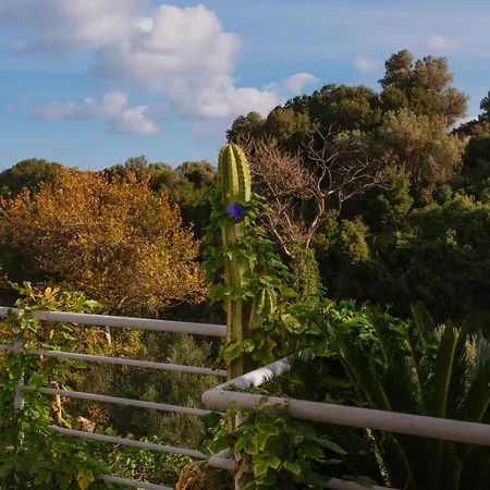 Lira Pure Serenity & Sea Views 3br Rethymno (Crete)